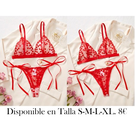 Conjunto de lencería sexy, sujetador y braguitas de encaje semitransparente, lencería y ropa interior para mujer.