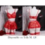 Conjunto de lencería sexy transparente de encaje LENCERIA ROJA
