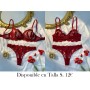 Conjunto de sostén y bragas de encaje LENCERIA VINO