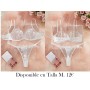 Novedad de Llegada Conjunto de Sujetador CONJUNTO LENCERIA BLANCA